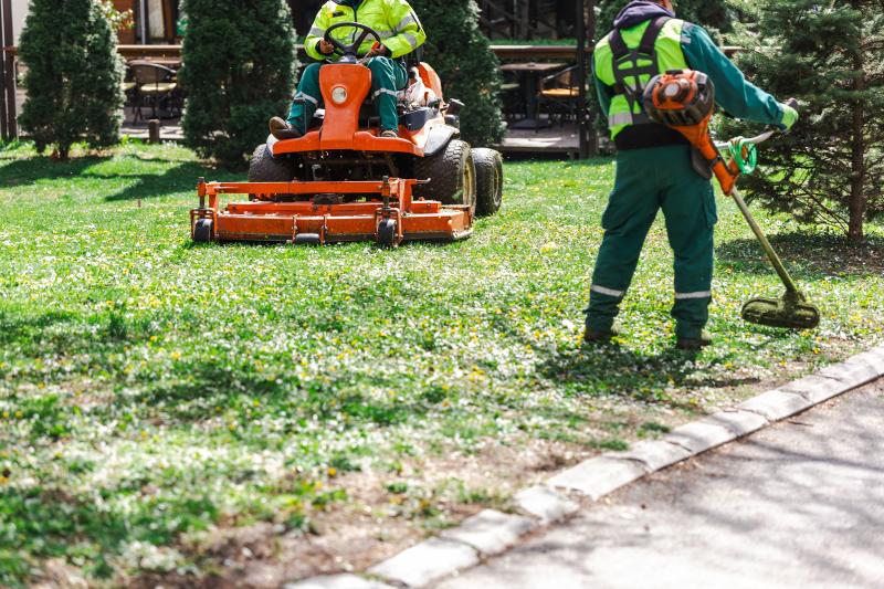 Comment choisir un paysagiste qualifié pour transformer votre espace extérieur ?
