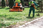 Comment choisir un paysagiste qualifié pour transformer votre espace extérieur ?