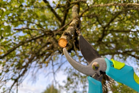 Conseils pratiques pour un entretien de jardin efficace toutes saisons