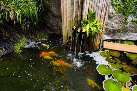 Cr&eacute;ation d'un bassin : comment am&eacute;nager un point d'eau en ext&eacute;rieur