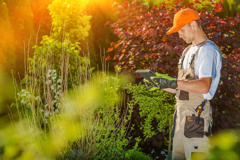 Scène extérieure de jardin avec professionnel en salopette et casquette orange consultant une tablette numérique
