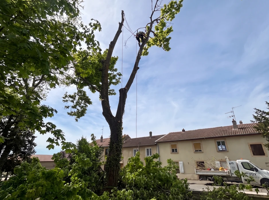 Réalisation 3